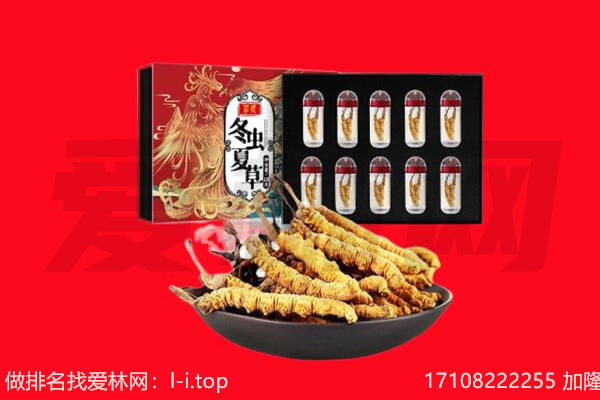 双流区回收虫草.jpg